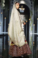 Dull Gold Embroidered Net Sharara Set (3-Piece) - Image 4