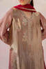 Pakistani Copper & Rose Gold Embroidered Pure Tissue Sharara (3-Piece) - Image 16