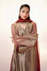 Pakistani Copper & Rose Gold Embroidered Pure Tissue Sharara (3-Piece) - Image 3
