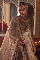 Dull Gold Embroidered Net Sharara (3-Piece) - Image 4