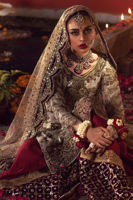 Dull Gold Embroidered Net Sharara (3-Piece) - Image 5