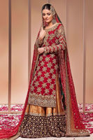 Dull Gold Embroidered Net Sharara (3-Piece) - Image 6