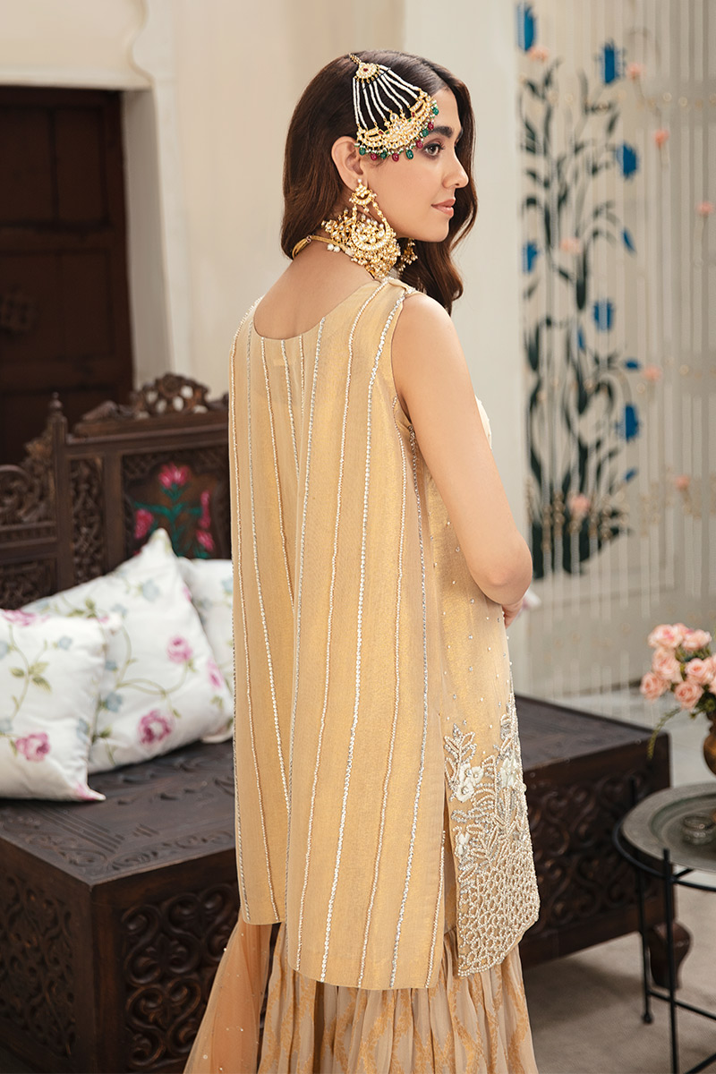 Pakistani Gold Embellished Tissue Sharara Set (3-Piece) - Image 4