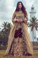 Antique Gold Hand-Embroidered Velvet Sharara (3-Piece) - Image 3