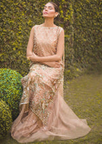 Pakistani Rose Gold Embroidered Tissue & Zari Net Sharara (2-Piece) - Image 3