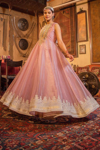 Pakistani Rose Gold Embroidered Net Peshwas Dress (1-Pc) - Image 4