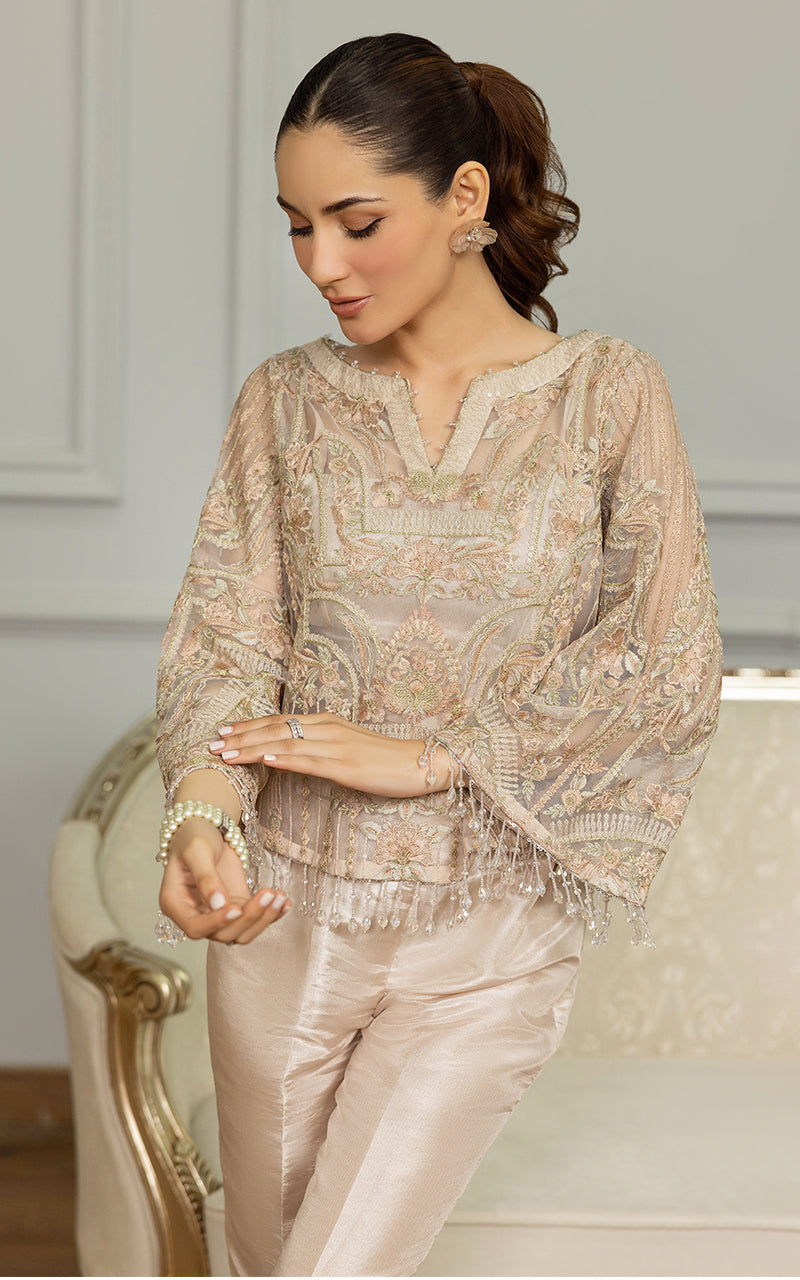 Champagne Embroidered Net Salwar Kameez (2-Piece) - Image 2