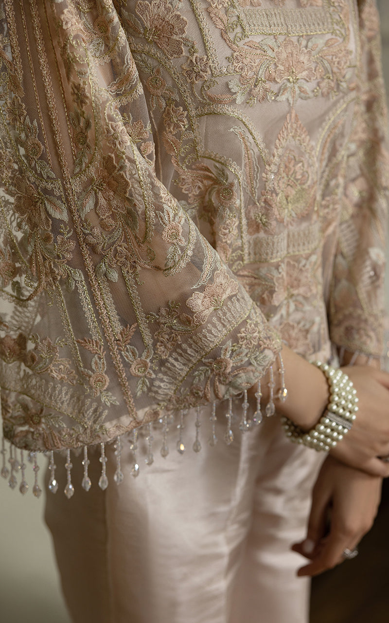 Champagne Embroidered Net Salwar Kameez (2-Piece) - Image 4