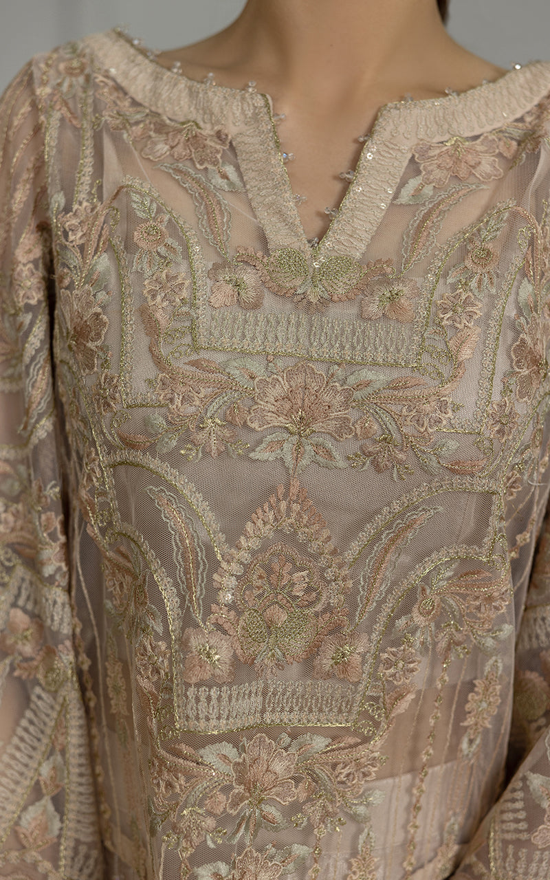 Champagne Embroidered Net Salwar Kameez (2-Piece) - Image 5