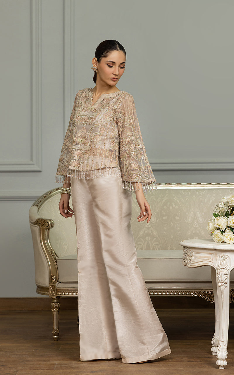 Champagne Embroidered Net Salwar Kameez (2-Piece) - Image 6