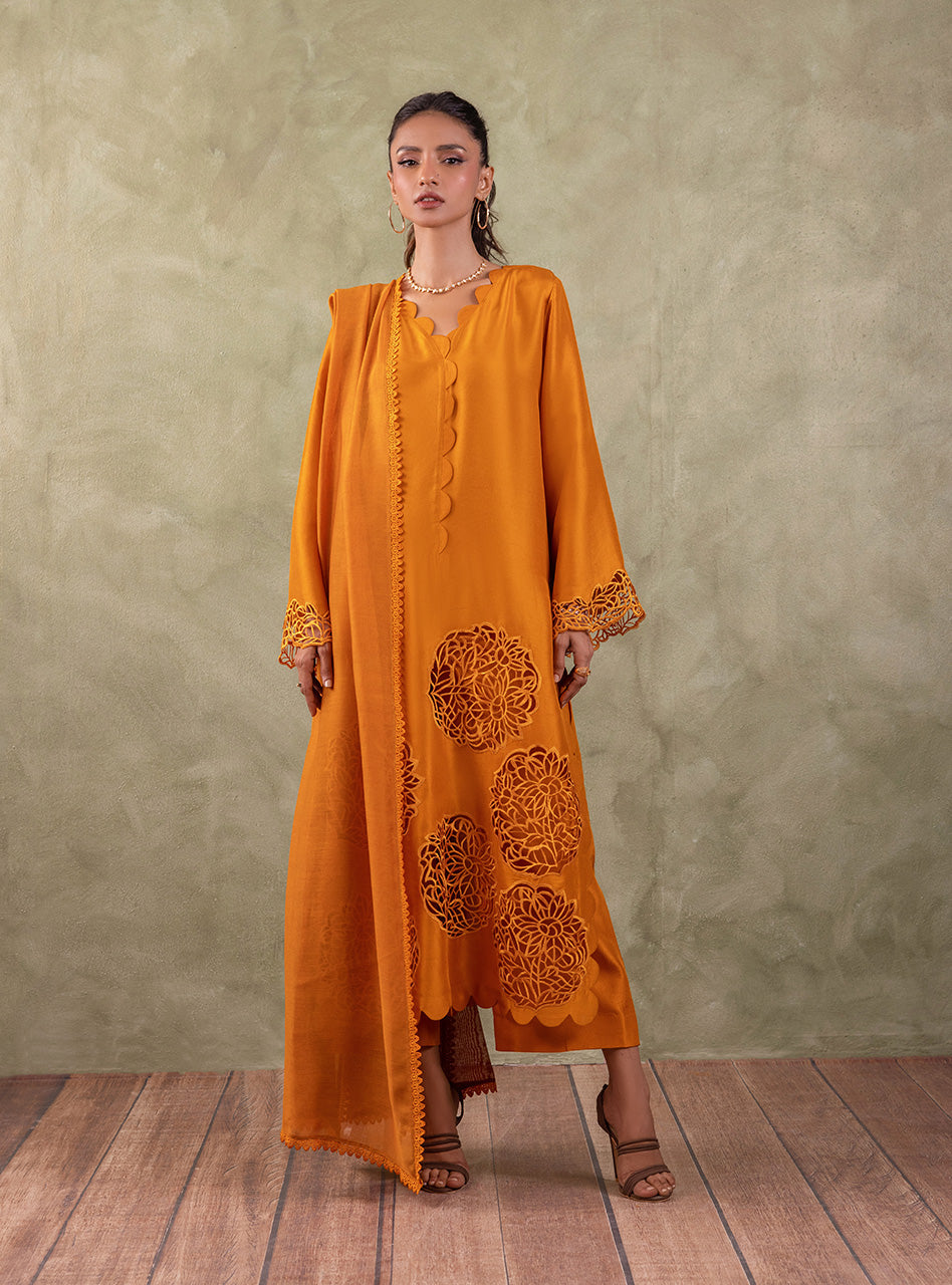 Amber Cutwork Raw Silk Salwar Kameez (3-Piece) - Image 1