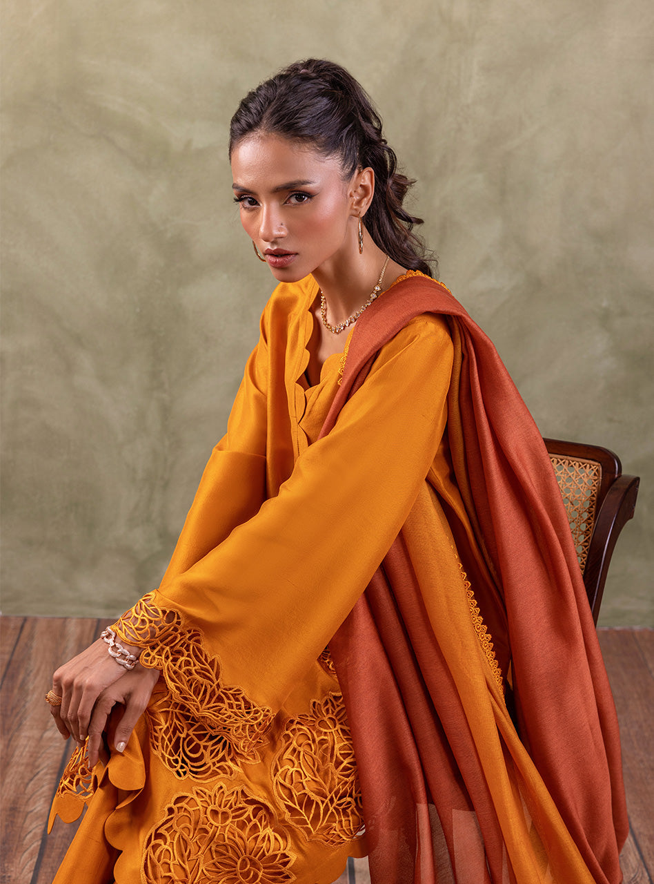 Amber Cutwork Raw Silk Salwar Kameez (3-Piece) - Image 10