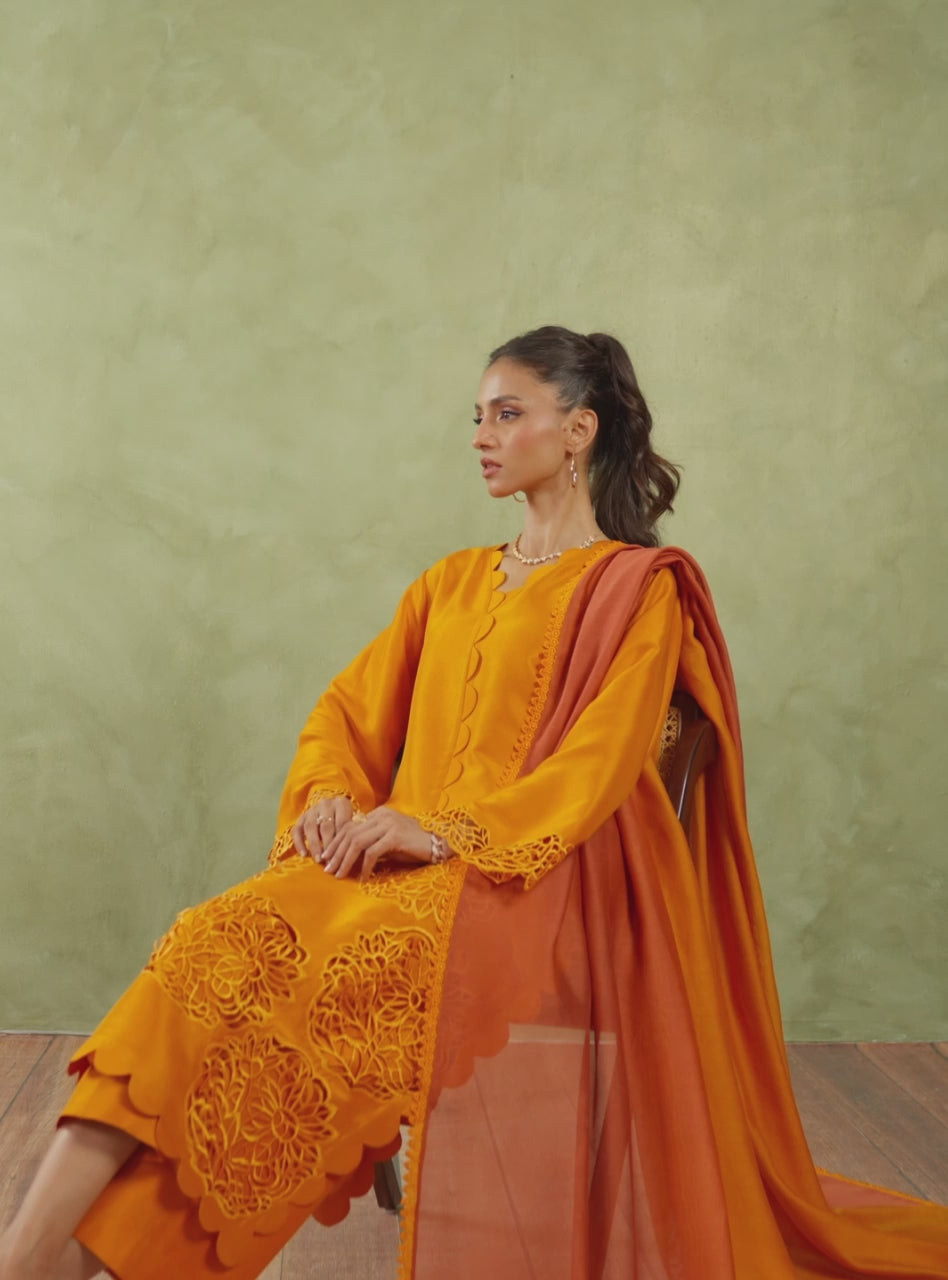 Amber Cutwork Raw Silk Salwar Kameez (3-Piece) - Image 11