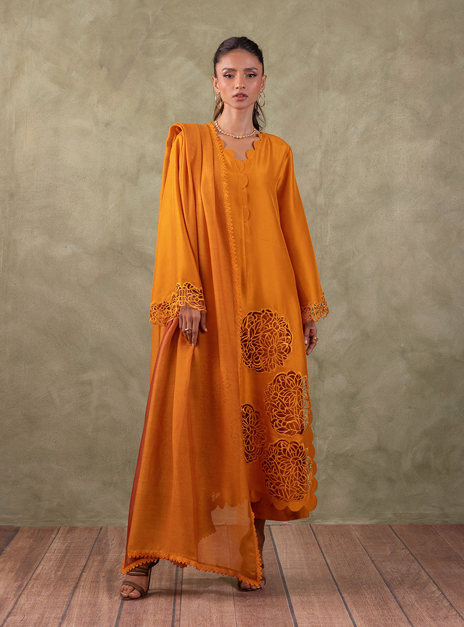 Amber Cutwork Raw Silk Salwar Kameez (3-Piece) - Image 3