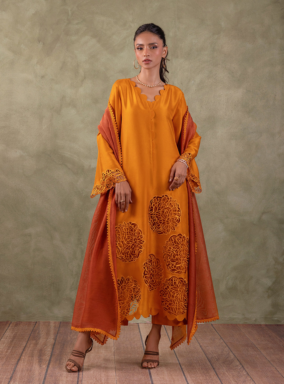 Amber Cutwork Raw Silk Salwar Kameez (3-Piece) - Image 4