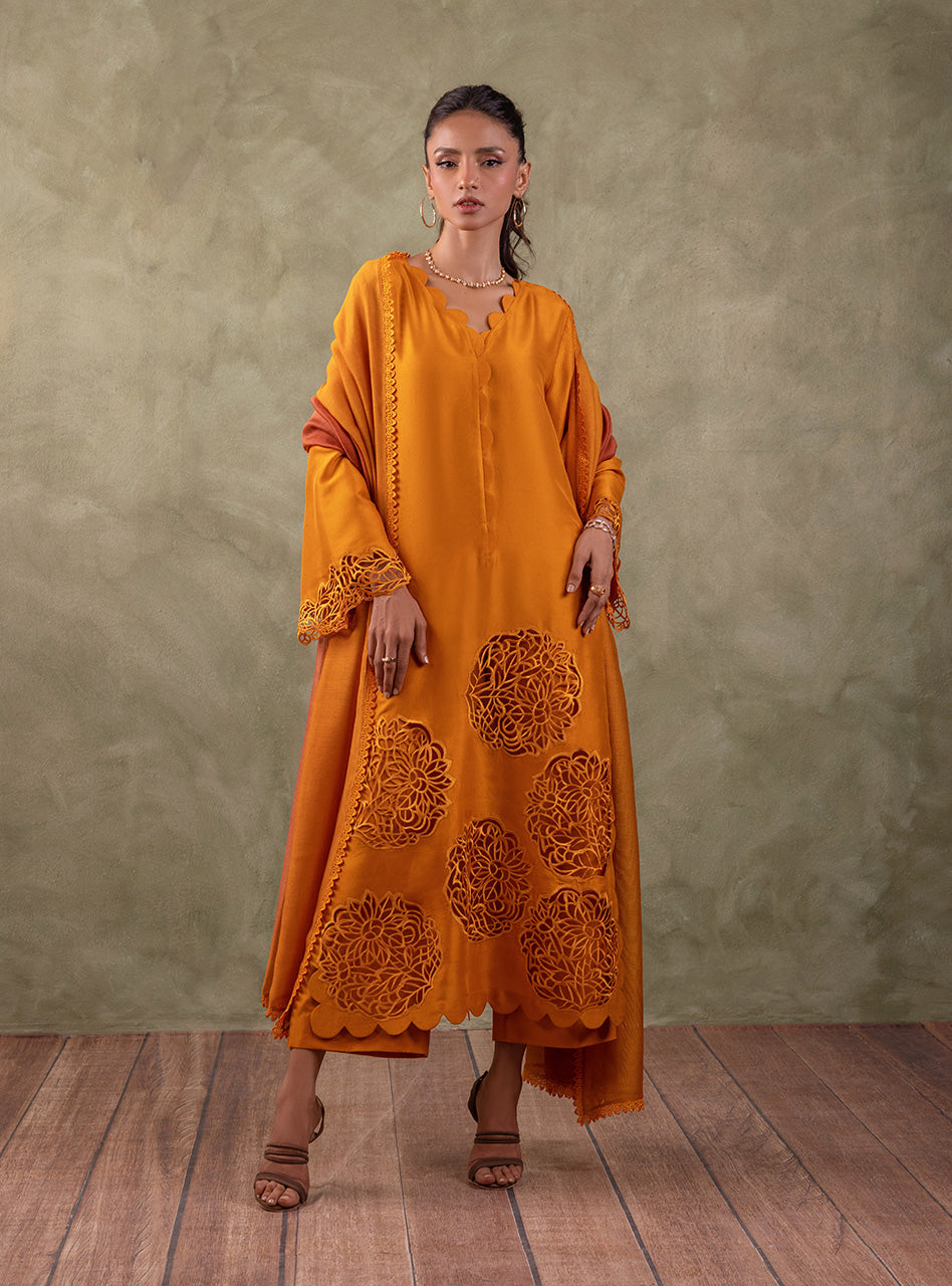 Amber Cutwork Raw Silk Salwar Kameez (3-Piece) - Image 5