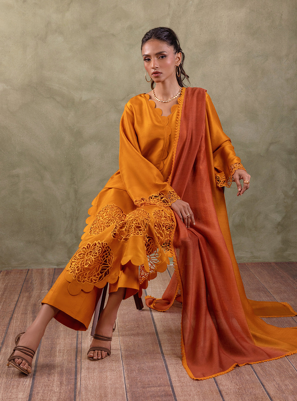Amber Cutwork Raw Silk Salwar Kameez (3-Piece) - Image 7