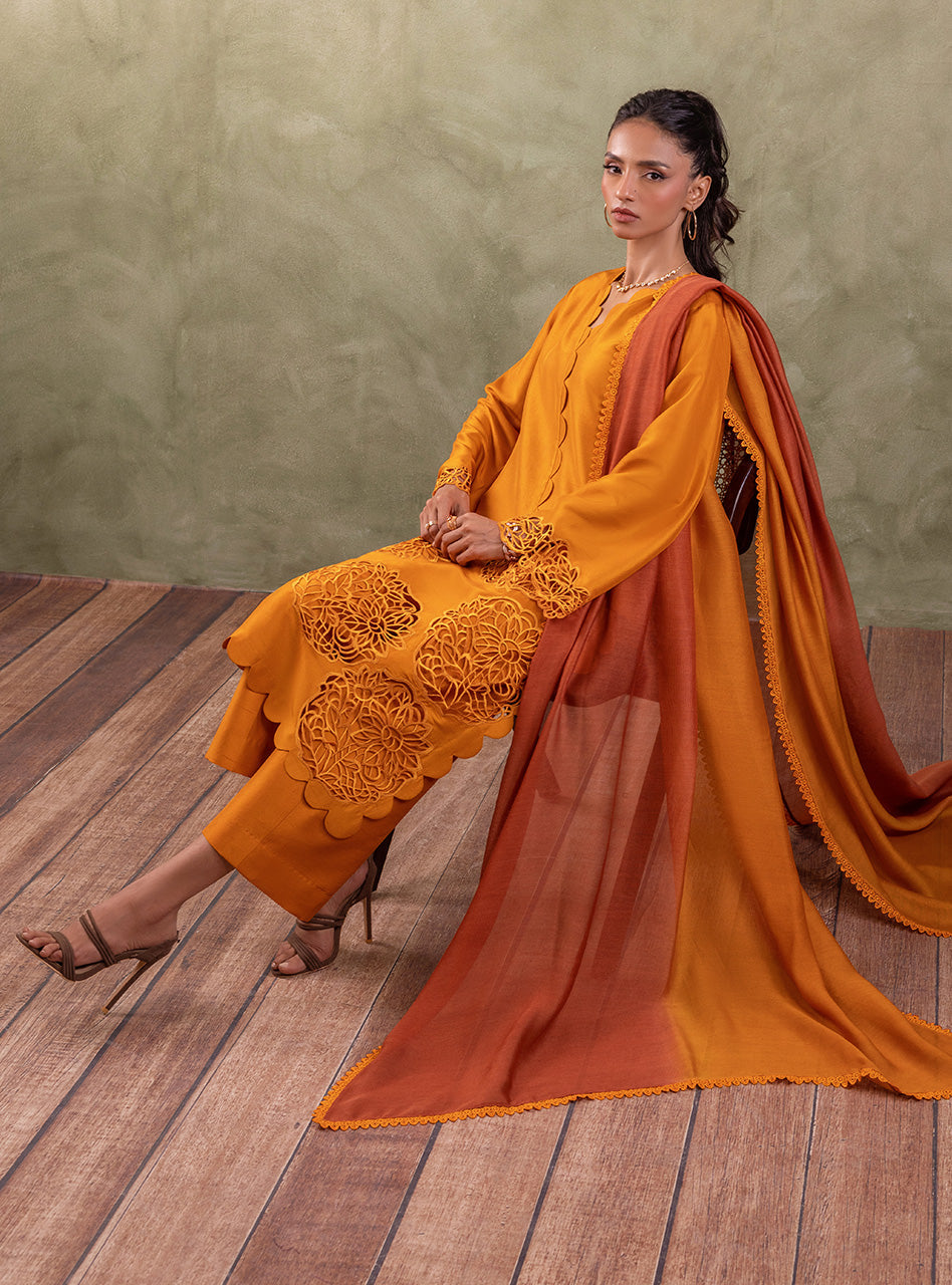 Amber Cutwork Raw Silk Salwar Kameez (3-Piece) - Image 8
