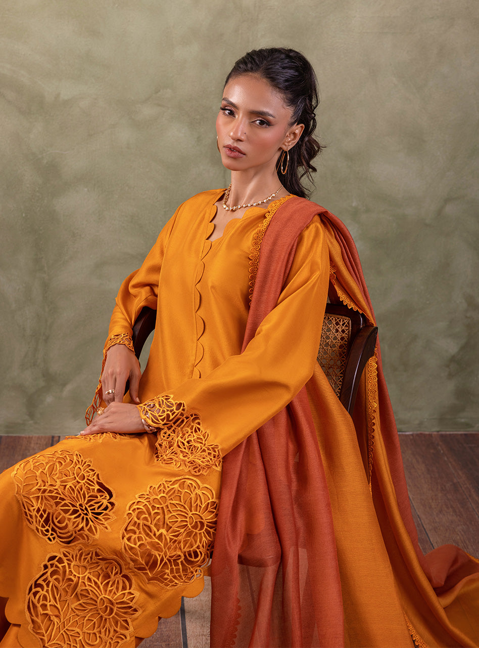 Amber Cutwork Raw Silk Salwar Kameez (3-Piece) - Image 9