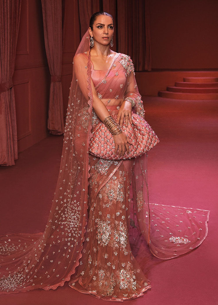 Pakistani Rose Gold Embellished Net Saree (2-Piece) - Image 1
