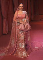 Pakistani Rose Gold Embellished Net Saree (2-Piece) - Image 3