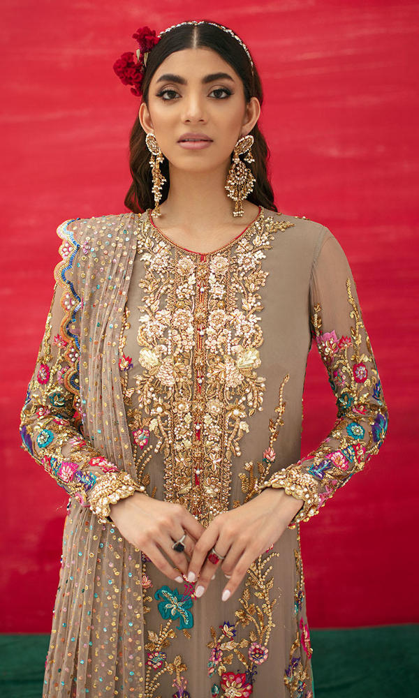 Pakistani Ash Zardozi Embroidered Net Salwar Kameez (3-Piece) - Image 3