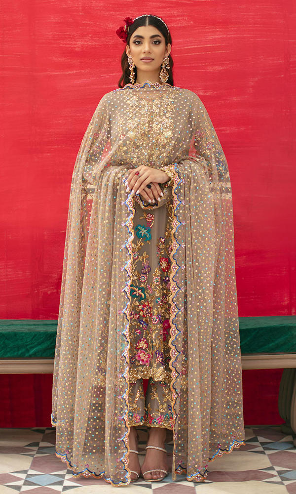 Pakistani Ash Zardozi Embroidered Net Salwar Kameez (3-Piece) - Image 6