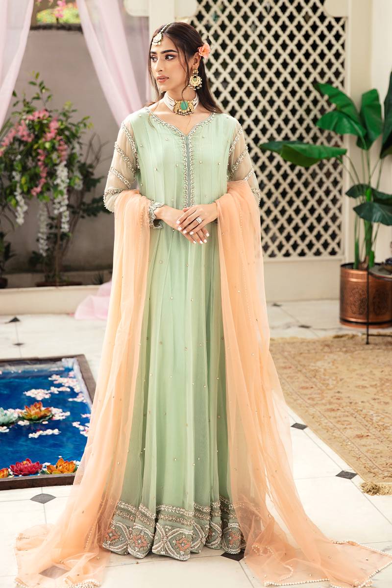 Pakistani Light Green Embellished Organza Net Anarkali Dress (2-Piece) - Image 1