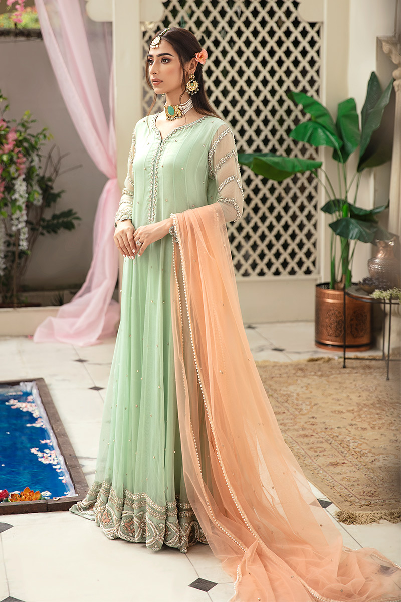 Pakistani Light Green Embellished Organza Net Anarkali Dress (2-Piece) - Image 4