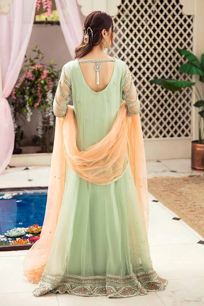 Pakistani Light Green Embellished Organza Net Anarkali Dress (2-Piece) - Image 5
