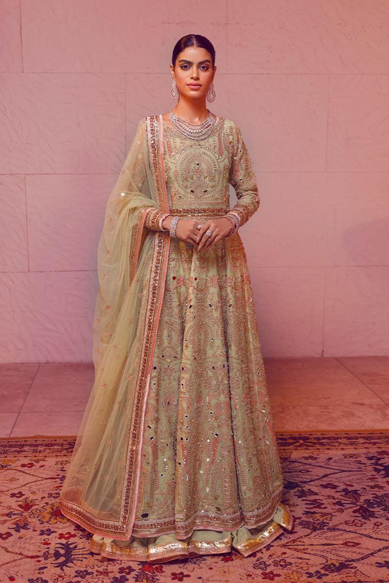 Apple Green Embroidered Pure Organza Anarkali (3-Piece) - Image 2