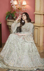 Pakistani Pistachio Grey Embroidered Net Silk Anarkali (2-Piece) - Image 3