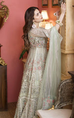 Pakistani Pistachio Grey Embroidered Net Silk Anarkali (2-Piece) - Image 4