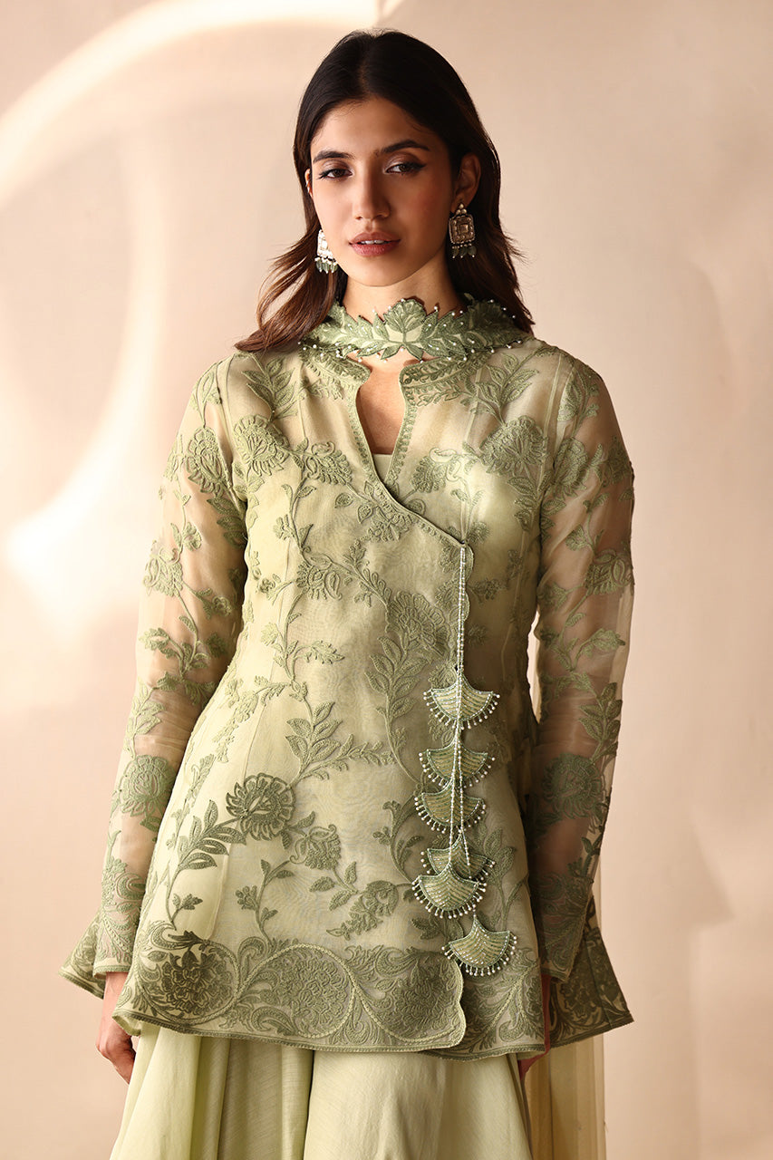 Pakistani Sage Green Aari Embroidered Organza Angrakha (3-Piece) - Image 4