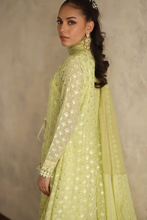 Lime Green Embroidered Chiffon Angharka (3-Piece) - Image 6