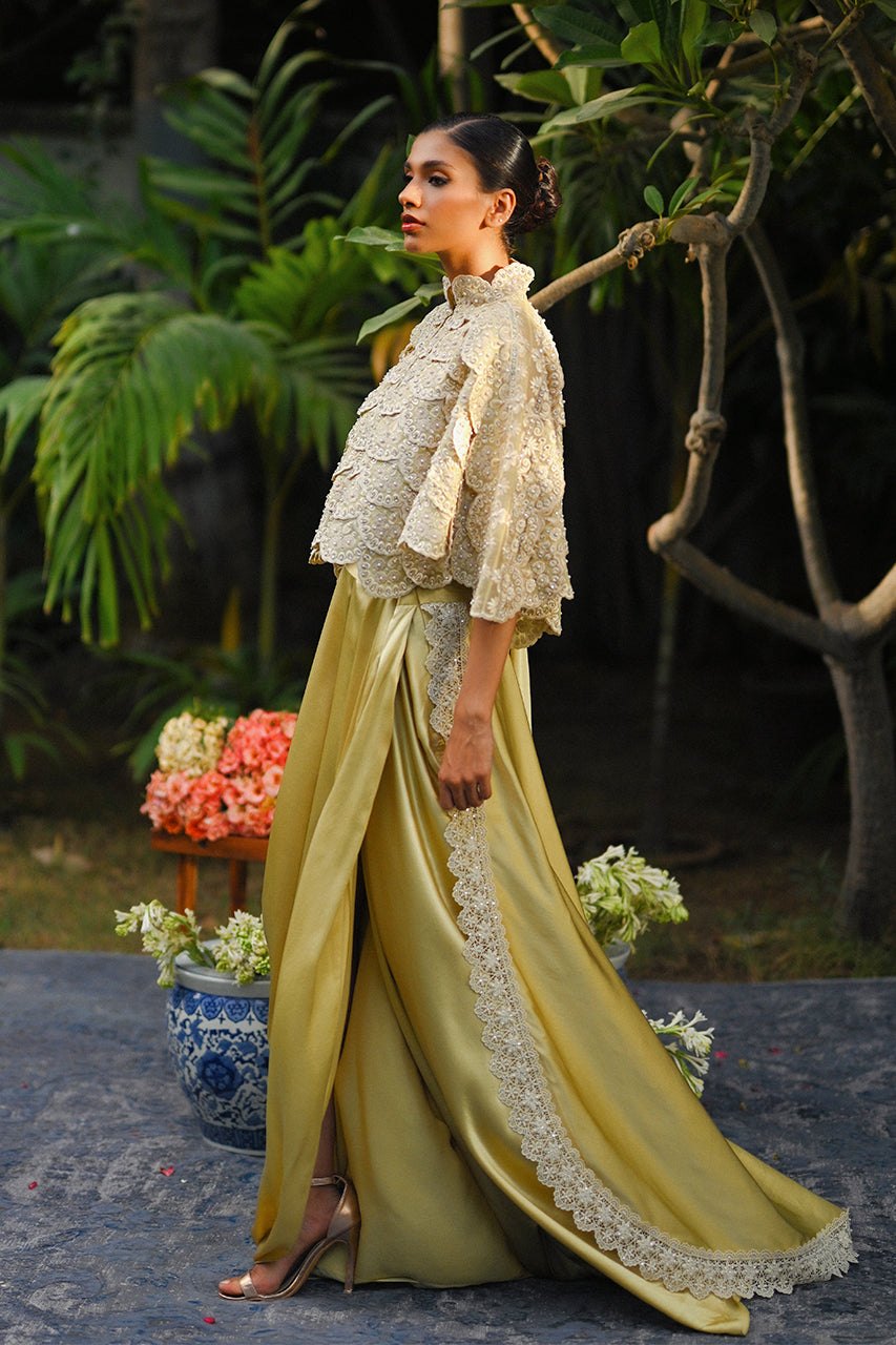 Pakistani Pistachio Hand-Embellished Organza Cape with Charmeuse Sari (2-Piece) - Image 3