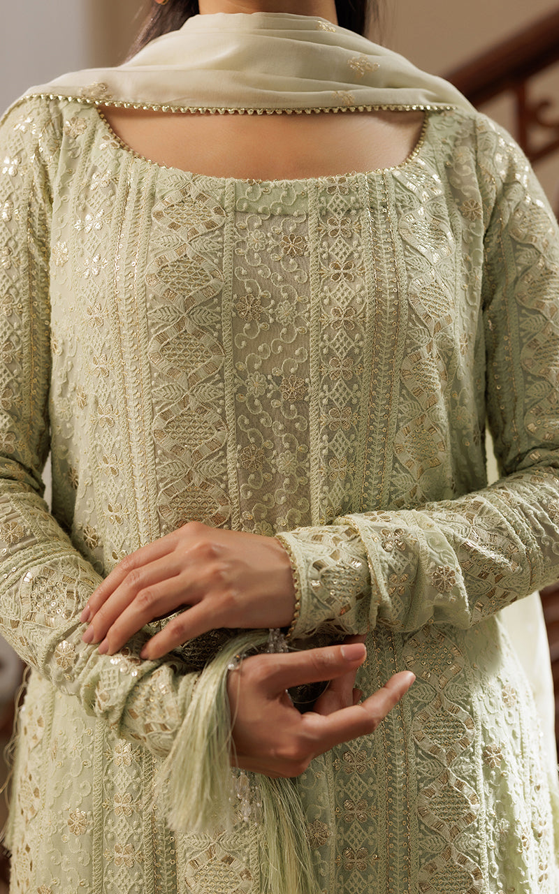 Pakistani Pistachio Embroidered Chiffon Gharara Set (3-Piece) - Image 5