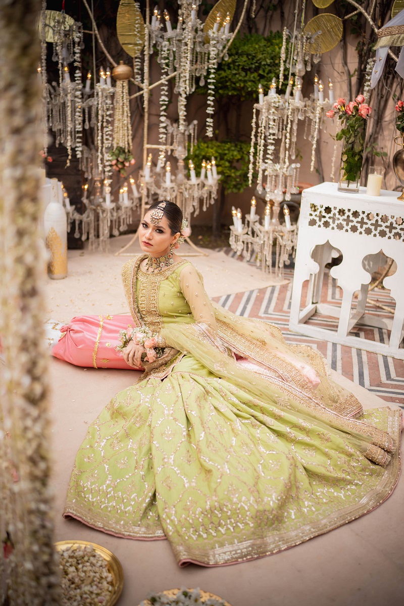 Pakistani Pistachio Green Embroidered Net & Raw Silk Farshi Gharara (3-Piece) - Image 1