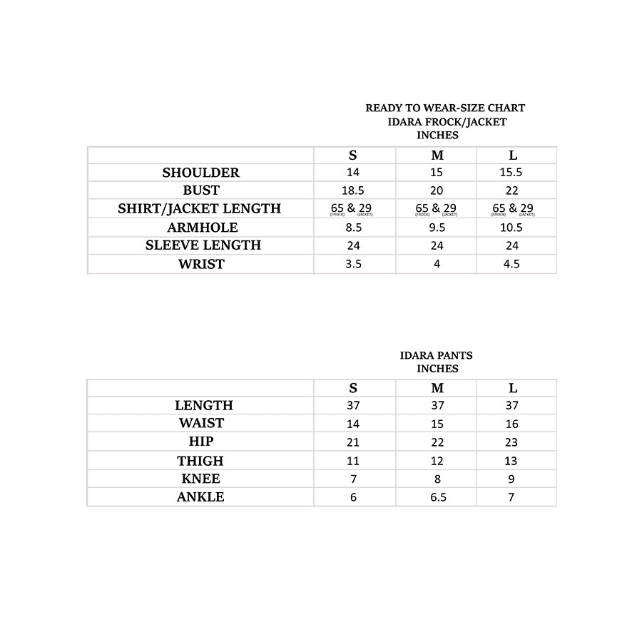 Pakistani Pastel Green Embroidered Chiffon Gown (3-Piece) - Image 5