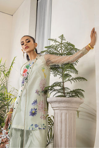 Mint Green Embroidered Net Gown (3-Piece) - Image 19