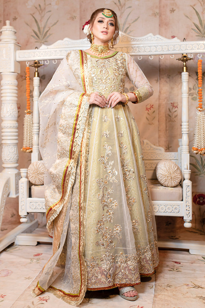 Pistachio Green Embellished Organza Gown (2-Piece) - Image 2