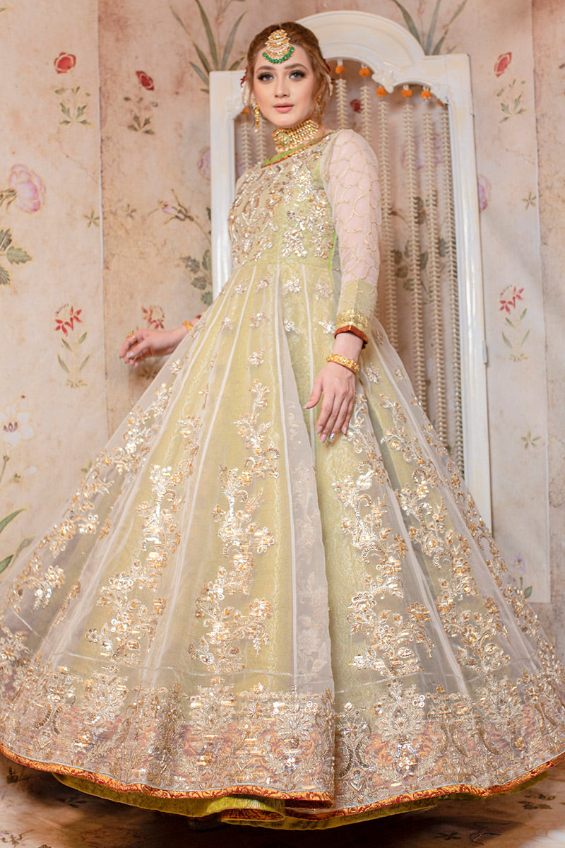 Pistachio Green Embellished Organza Gown (2-Piece) - Image 3