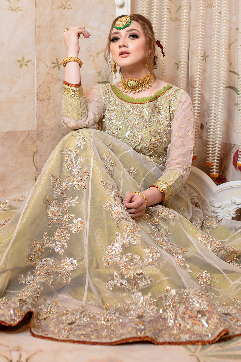 Pistachio Green Embellished Organza Gown (2-Piece) - Image 4