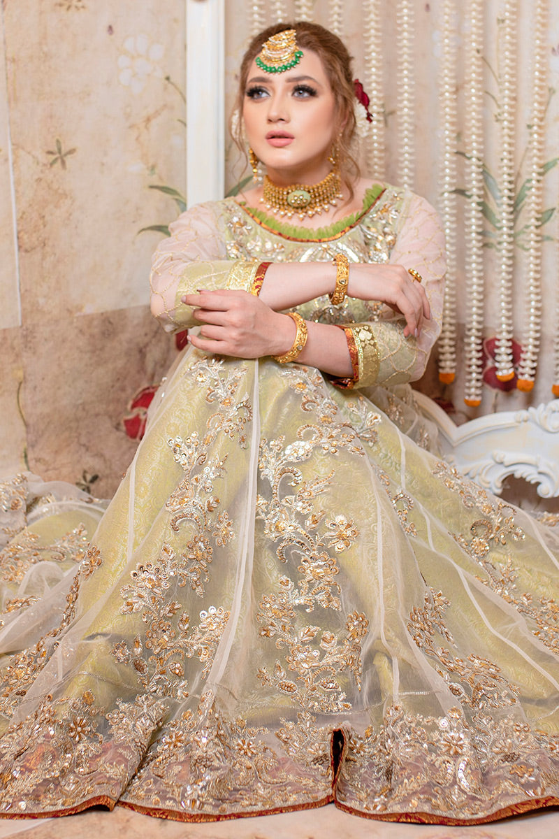 Pistachio Green Embellished Organza Gown (2-Piece) - Image 5