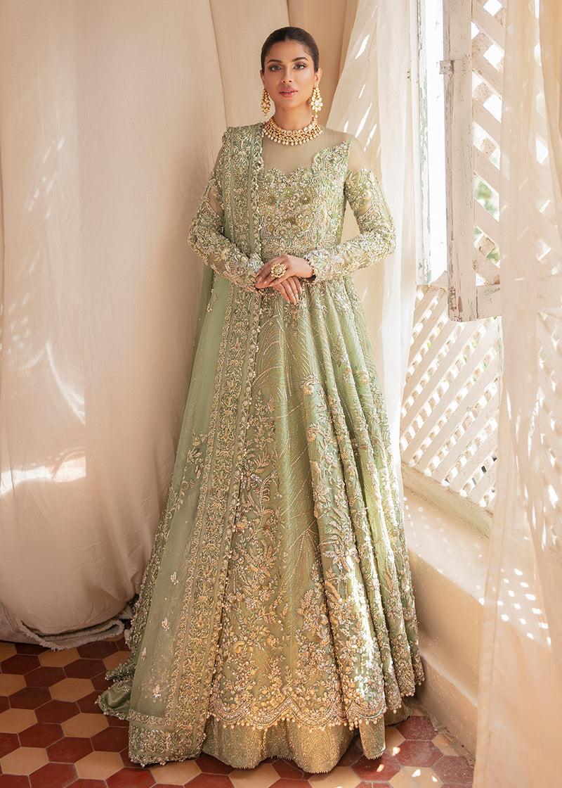 Pistachio Green Embroidered Organza Gown (3-Piece) - Image 1