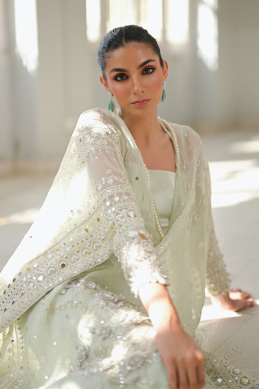 Pakistani Mint Green Embroidered Organza Kaftan Dress (2-Piece) - Image 14