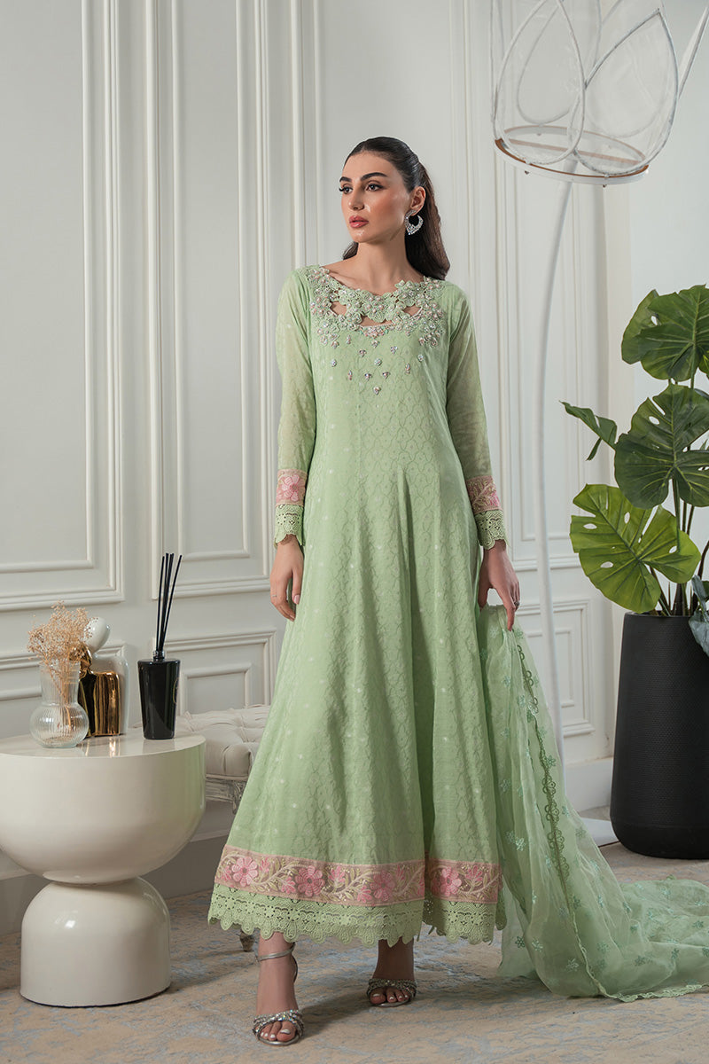 Mint Green Embroidered Cotton Net Kalidaar (2-Piece) - Image 1