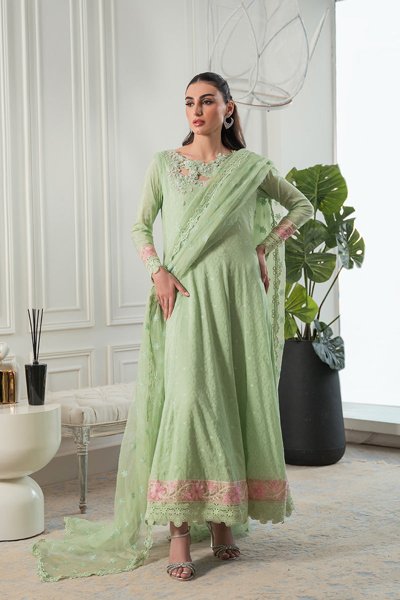 Mint Green Embroidered Cotton Net Kalidaar (2-Piece) - Image 4