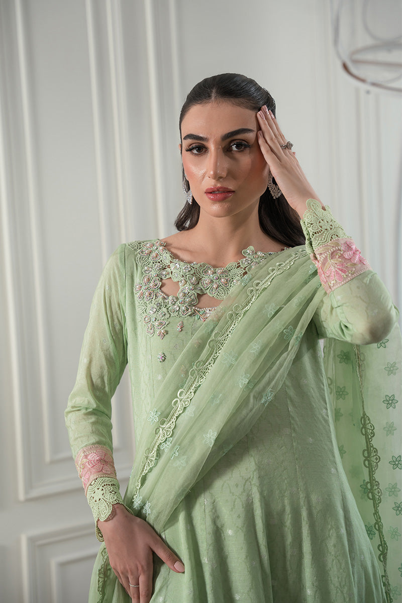 Mint Green Embroidered Cotton Net Kalidaar (2-Piece) - Image 5