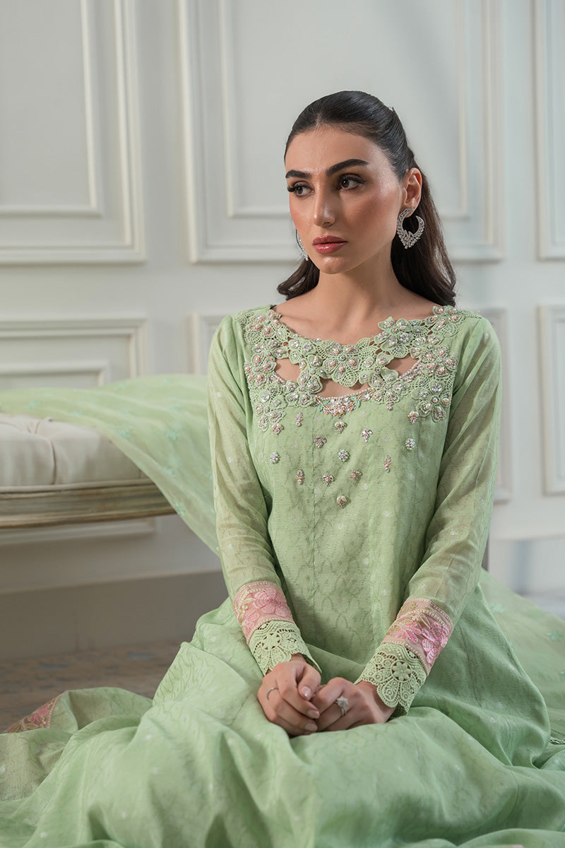 Mint Green Embroidered Cotton Net Kalidaar (2-Piece) - Image 6